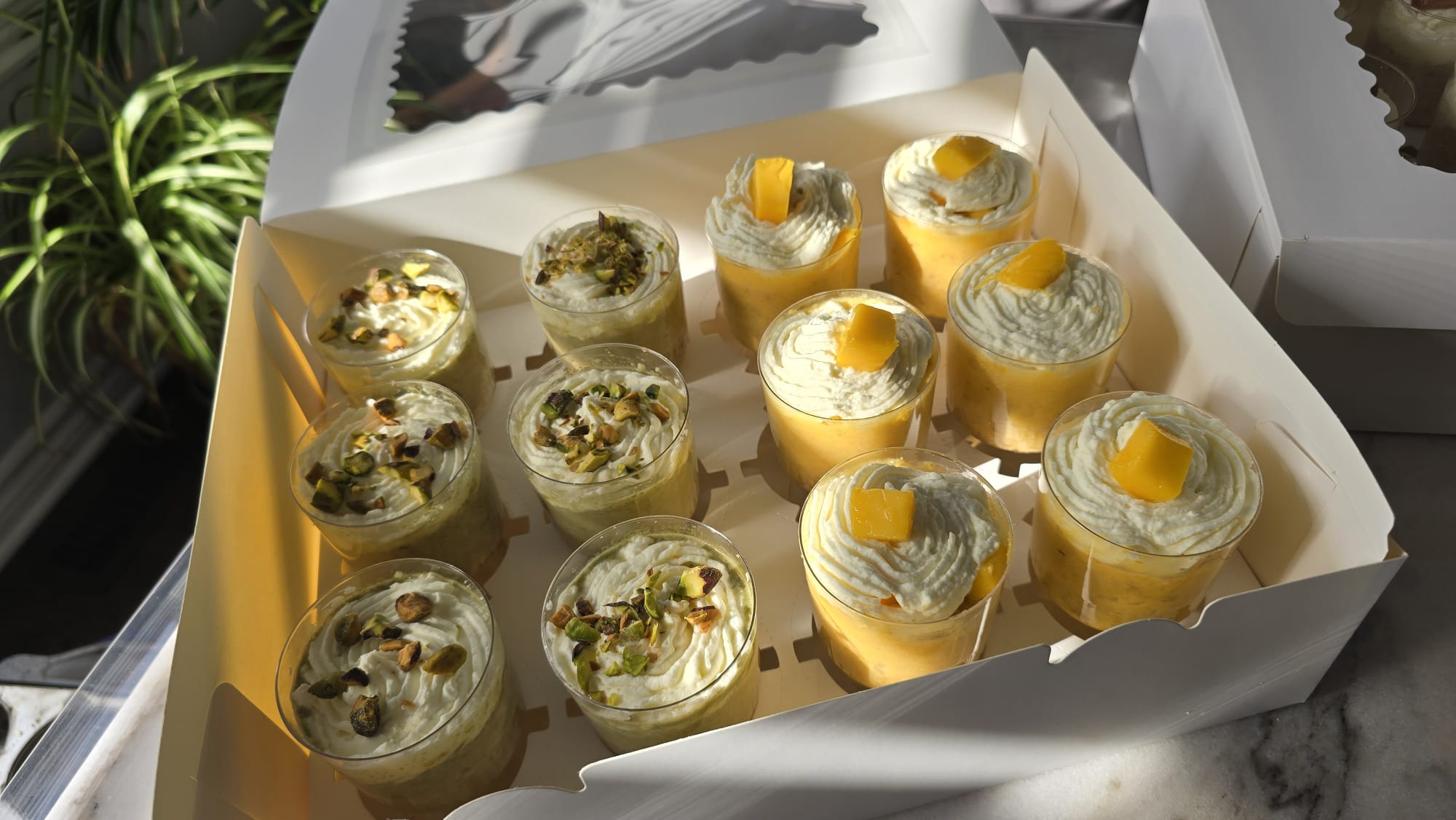 Milk Cake Cup Shots